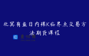 北冥有鱼日内裸K临界点交易方法期货课程