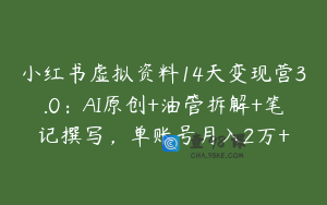 小红书虚拟资料14天变现营3.0：AI原创+油管拆解+笔记撰写，单账号月入2万+