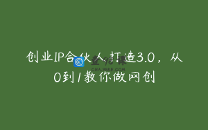 创业IP合伙人打造3.0，从0到1教你做网创