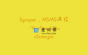 Synapse_MSMS课程-YourSongIsYourStrength