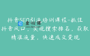 抖音SEO引流培训课程-抓住抖音风口，实现搜索排名，获取精准流量，快速成交变现