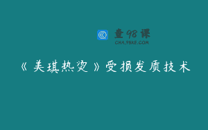 《美琪热烫》受损发质技术
