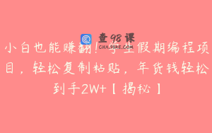 小白也能赚翻！学生假期编程项目，轻松复制粘贴，年货钱轻松到手2W+【揭秘】