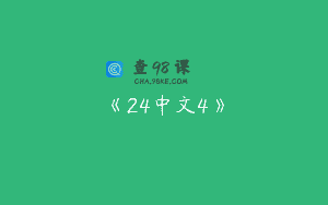 《24中文4》