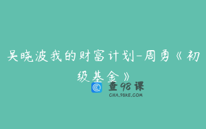 吴晓波我的财富计划-周勇《初级基金》