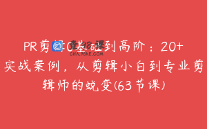 PR剪辑0基础到高阶：20+实战案例，从剪辑小白到专业剪辑师的蜕变(63节课)