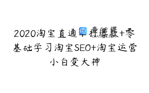 2020淘宝直通车打爆款+零基础学习淘宝SEO+淘宝运营小白变大神