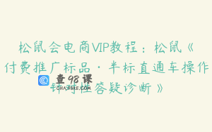 松鼠会电商VIP教程：松鼠《付费推广标品·半标直通车操作针对性答疑诊断》