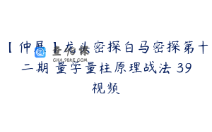 【仲展】龙头密探白马密探第十二期 量学量柱原理战法 39视频