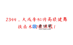 2344_大成拳秘传高级健舞技击术初级课程1