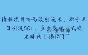 精准项目粉高效引流术，新手单日引流50+，多重变现方式稳定赚钱【揭秘】