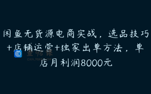 闲鱼无货源电商实战，选品技巧+店铺运营+独家出单方法，单店月利润8000元