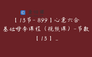 【13节-￥899】心意六合基础母拳课程（视频课）-节数【13】_