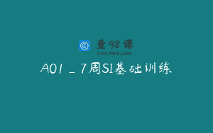 A01_7周SI基础训练