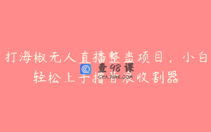 打海椒无人直播整蛊项目，小白轻松上手撸音浪收割器