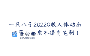 一只八子2022Q版人体动态速写【画质不错有笔刷】