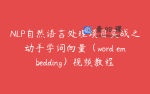 NLP自然语言处理项目实战之动手学词向量（word embedding）视频教程