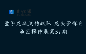 量学龙威武特战队 龙头密探白马密探仲展第31期