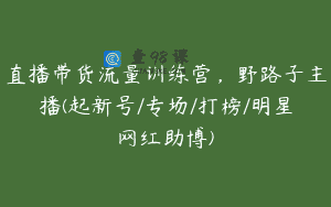 直播带货流量训练营，野路子主播(起新号/专场/打榜/明星网红助博)