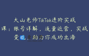 大山老师TikTok进阶实战课:账号详解,流量运营,实战变现,助力你成功出海