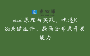 etcd 原理与实践，吃透K8s关键组件，提高分布式开发能力