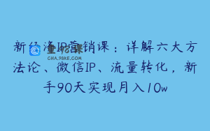 新经济IP营销课：详解六大方法论、微信IP、流量转化，新手90天实现月入10w