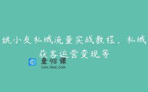 姚小友私域流量实战教程，私域获客运营变现等