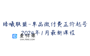臻曦联盟-单品微付费正价起号，2024年1月最新课程