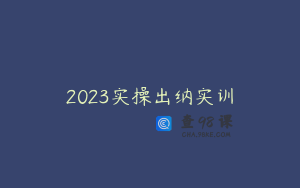 2023实操出纳实训