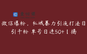 微信爆粉，私域暴力引流打法日引千粉 单号日进50+【揭