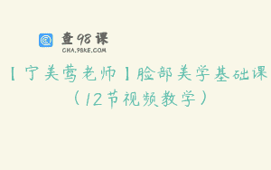 【宁美莺老师】脸部美学基础课（12节视频教学）