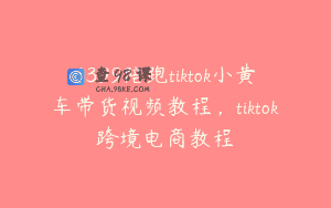 1399陪跑tiktok小黄车带货视频教程，tiktok跨境电商教程
