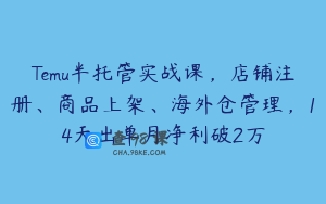 Temu半托管实战课，店铺注册、商品上架、海外仓管理，14天出单月净利破2万