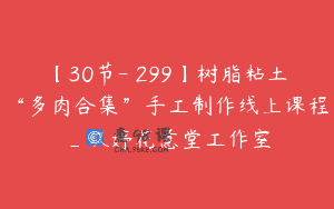 【30节-￥299】树脂粘土“多肉合集”手工制作线上课程_玖婷花意堂工作室