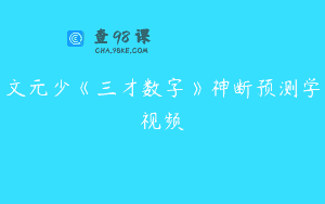 文元少《三才数字》神断预测学视频