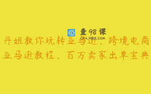丹姐教你玩转亚马逊，跨境电商亚马逊教程，百万卖家出单宝典