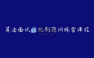 算法面试强化刷题训练营课程