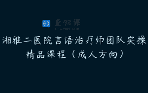 湘雅二医院言语治疗师团队实操精品课程（成人方向）