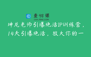 坤龙老师引爆绝活IP训练营，14天引爆绝活，放大你的一