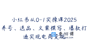 小红书从0-1实操课2025养号、选品、文案撰写、爆款打造实现电商变现