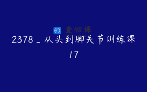 2378_从头到脚关节训练课17