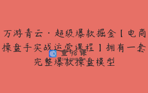 万游青云·超级爆款掘金【电商操盘手实战运营课程】拥有一套完整爆款操盘模型