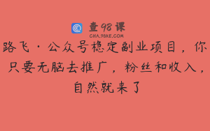 路飞·公众号稳定副业项目，你只要无脑去推广，粉丝和收入，自然就来了