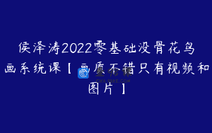 侯泽涛2022零基础没骨花鸟画系统课【画质不错只有视频和图片】