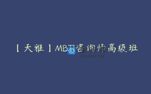 【天雅】MBTI咨询师高级班