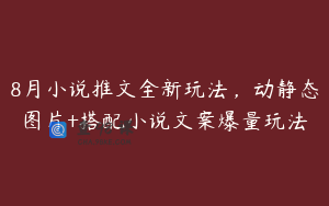 8月小说推文全新玩法，动静态图片+搭配小说文案爆量玩法