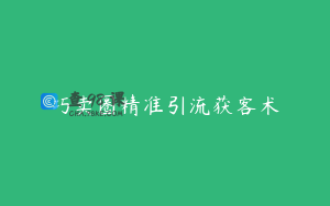 巧卖圈精准引流获客术