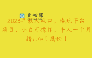 2023年最大风口，潮玩宇宙项目，小白可操作，牛人一个月撸1.7w【揭秘】