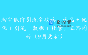 淘宝低价引流全攻略：选品＋优化＋引流＋数据＋托管，五环闭环（9月更新）