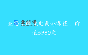 亚马逊跨境电商vip课程，价值3980元